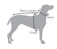 Dog Sizing Chart