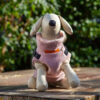 Pebble Sea Pink Tweed Coat with easy Harness