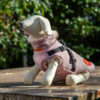 Pebble Sea Pink Tweed Coat with easy Harness