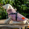 Pebble Sea Pink Tweed Coat with easy Harness