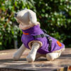 Rave Purple Tweed Coat with easy Harness