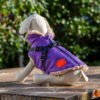 Rave Purple Tweed Coat with easy Harness