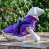 Rave Purple Tweed Coat with easy Harness