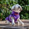Rave Purple Tweed Coat with easy Harness
