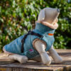 Dolphin Tweed Coat with Easy Harness