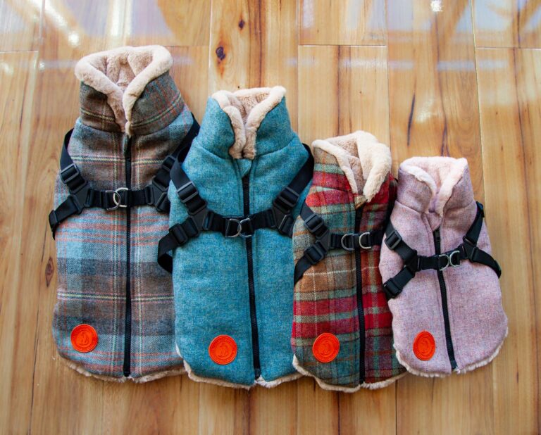 4 sizes of Saxby Dog Coats