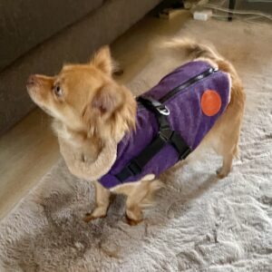 Rave Purple Tweed Coat with easy Harness