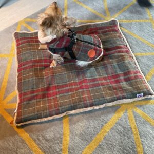 Autumn Check Blanket Bed