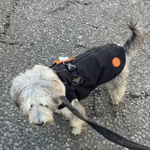 Neoprene Waterproof Dog Coat, with Cosy Faux Fur Lining and Built in Harness for Ease, Colour Black